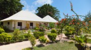 Seychellen, La Digue, Etoile Labrine