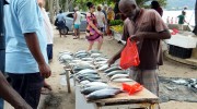 Seychellen, Angeln & Fischen, Direktverkauf am Beau Vallon