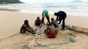 Seychellen, Angeln & Fischen, Makrelenschwarm