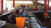 Seychellen, Mahé Nord, Victoria, Selwyn Clarke Market Panorama