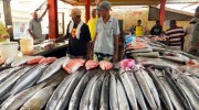 Seychellen, Mahé-Nord, Markt in Victoria