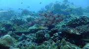 Seychellen, Praslin, Booby Rock