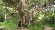 Seychellen, La Digue