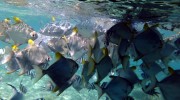 Ste Anne Marine National Park Mahé Seychellen