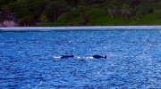 Sunset Cruise Etoile Labrine La Digue Seychellen