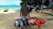 meerzeitreisen Seychellen 2015