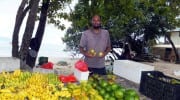 Obst und Früchte auf den Seychellen