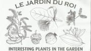 Jardin Du Rois Botanischer Garten Gewürzgarten Mahé Seychellen