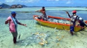 Regionale Produkte Seychellen local products Fischerei