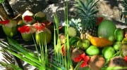 Regionale Produkte Seychellen local products Obst Früchte