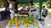 Regionale Produkte Seychellen local products Obst Gemüse La Digue