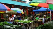 Regionale Produkte Seychellen local products Sir Selwyn Selwyn-Clarke Market Salat Gemüse