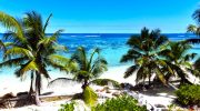 New Emrald Cove Hotel Superior Sea View