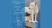 Pet Haven Society Seychelles, Animal Care, Tierschutz, Tierheim, Dogs, Streuner, Hunde, Mahé