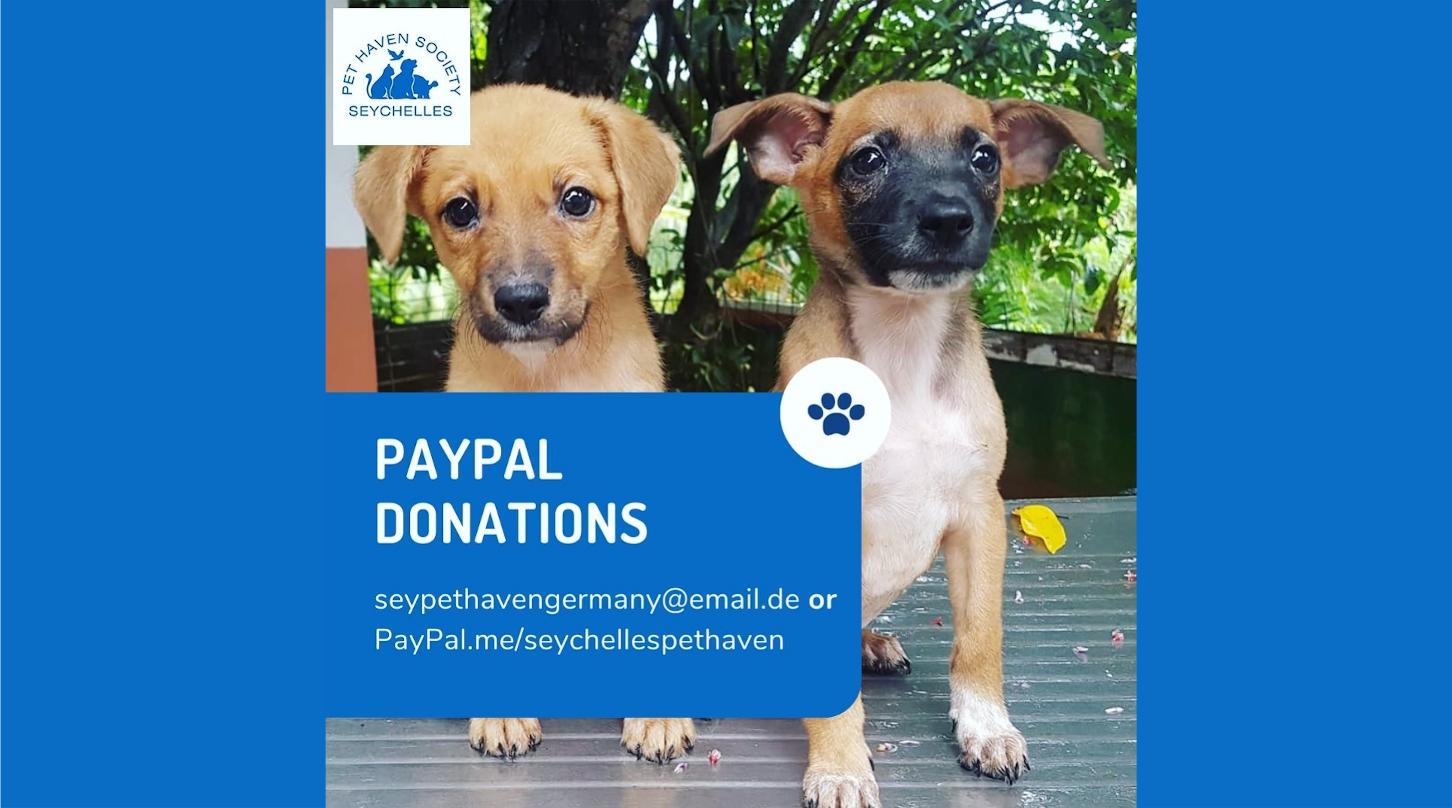 Pet Haven Society Schutz von Streunern auf den Seychellen