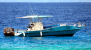 Bootsausflug Curieuse Island mit Starfish Boat Charter Summertime Mathieu Vidot