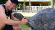 Bootsausflug Curieuse Island mit Starfish Boat Charter Summertime Riesenschildkröte Giant Tortoise