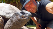 Bootsausflug Curieuse Island mit Starfish Boat Charter Summertime Riesenschildkröte Giant Tortoise