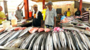 Fischverkauf auf dem Sir Selwyn Selwyn-Clarke Market, Victoria, Mahé, Seychellen