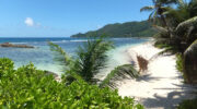 Anse Forbans, Mahe Süd, Seychellen, Strand und Palmen
