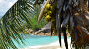 Anse Soleil, Mahé Süd, Seychellen, Palme und Meer
