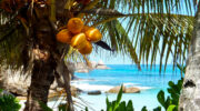 Anse Takamaka, Mahé Süd, Seychellen, Coconuts and Ocean Breeze