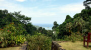 Jardin Du Rois Spice Garden, Anse Royale, Mahe Süd, Seychellen