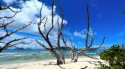 Anse Gaulettes, La Digue, Seychellen