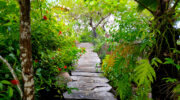 Secret Garden, La Digue, Seychellen, Wanderpfad