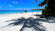 Praslin Island, Seychellen, Anse Lazio mit Palmenschatten