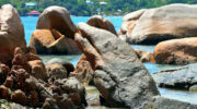 Praslin, Seychellen, Smoon Island, Dolphin Rock, Delfinstein