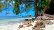 Praslin Island, Seychellen, Südost-Küste nahe Les Rochers Restaurant