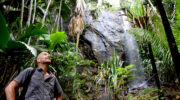 Praslin Island, Seychellen, Mister Olaf bewundert den Vallée de Mai Wasserfall