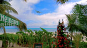Strandbar Beach Bar La Voi del Mare Praslin