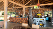 Jungle Tides Beach Grill and Bar, l'Ilot Beach, Glacis, Mahé, Seychellen