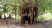 Bootsausflug, Schnorchelausflug, Sister Island, Grand Soeur, Seychellen