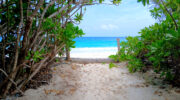 Bootsausflug, Schnorchelausflug, Sister Island, Grand Soeur, Seychellen