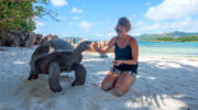Silhouette Cruises, Kreuzfahrt auf den Seychellen, Curieuse Island